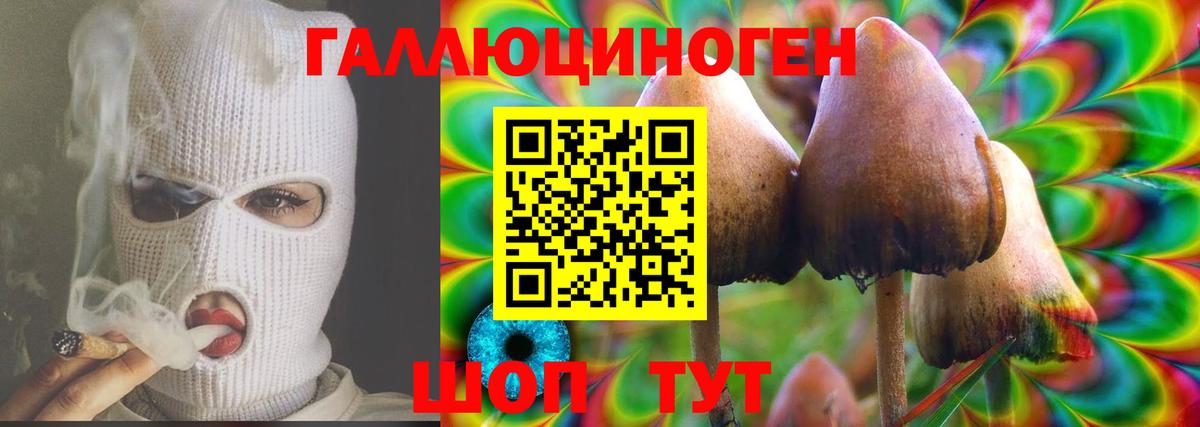 Галлюциногенные грибы Psilocybine cubensis  закладки  Углич  Вход с VPN 